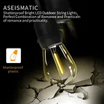 LED Outdoor String Lights